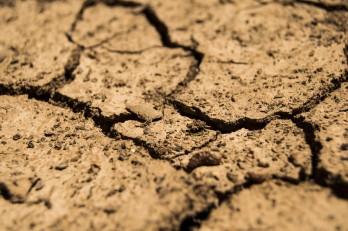 drought-g77d5a6287_1920.jpg