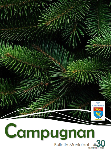 2025-12-15 11_55_45-2025-décembre.pdf - Adobe Reader.png